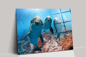 A lovely dolphins Canvas Wall Art Design | Large Canvas Stunning Image of Ocean Dwellers for Decor Large Wall in House, dolphins glass wall