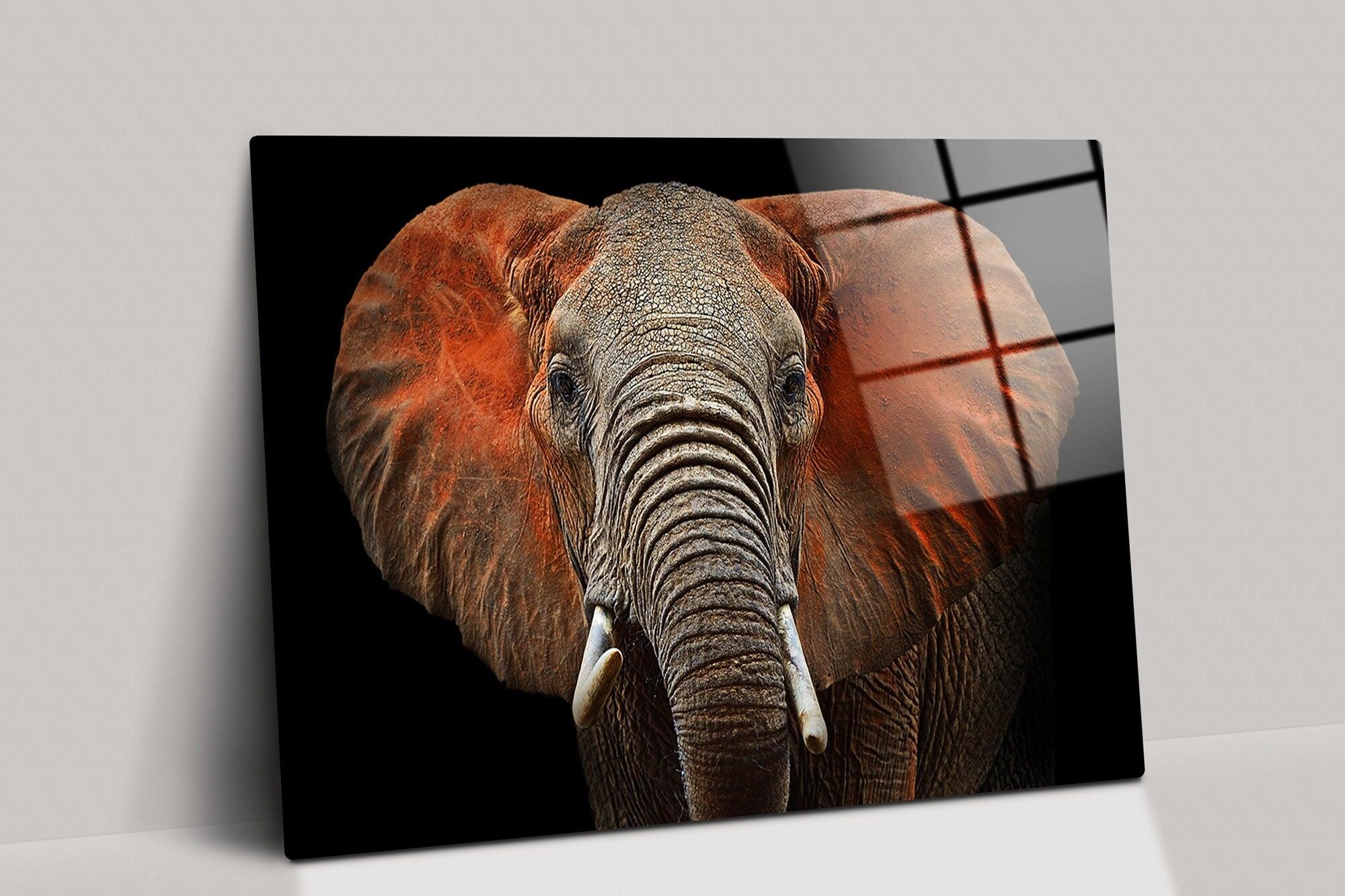 African Elephant Wall Art glass Print| Triptych. Red, orange animal, elephant painting wall art, Room Decor, elephant canvas wall art