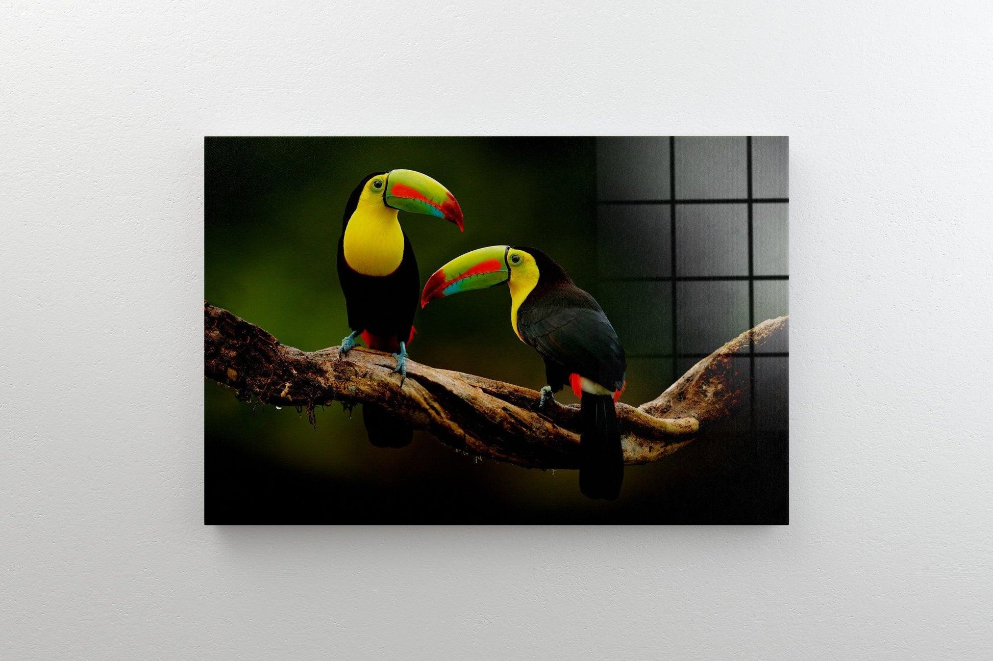 Colored Parrot Birds Canvas Wall Art Print| Poster Print Decor for Home & Office Decoration, Poster or READY TO HANG, watercolor animals