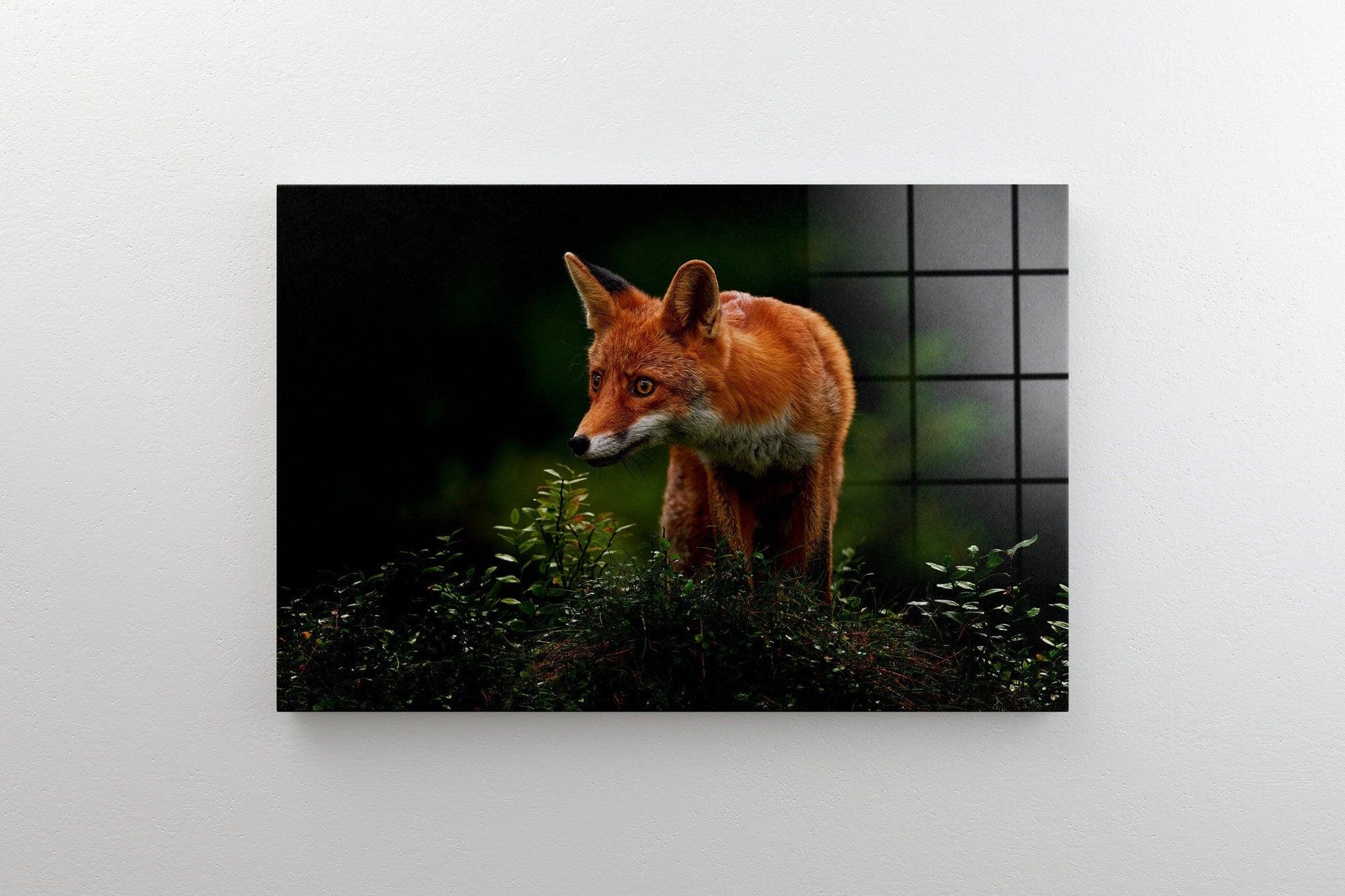 Cute Fox Art Prints on Canvas, Fox Pictures of Home Decor, Fox Print Canvas Sets, Fox Large Framed Print Canvas, Fox Pictures glass Wall Art