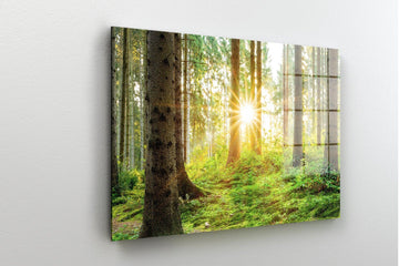 Forest Wall Art Canvas| Green Countryside Forest Print, forest wall decor, forest canvas art, large forest print, Trees Canvas Print, canvas