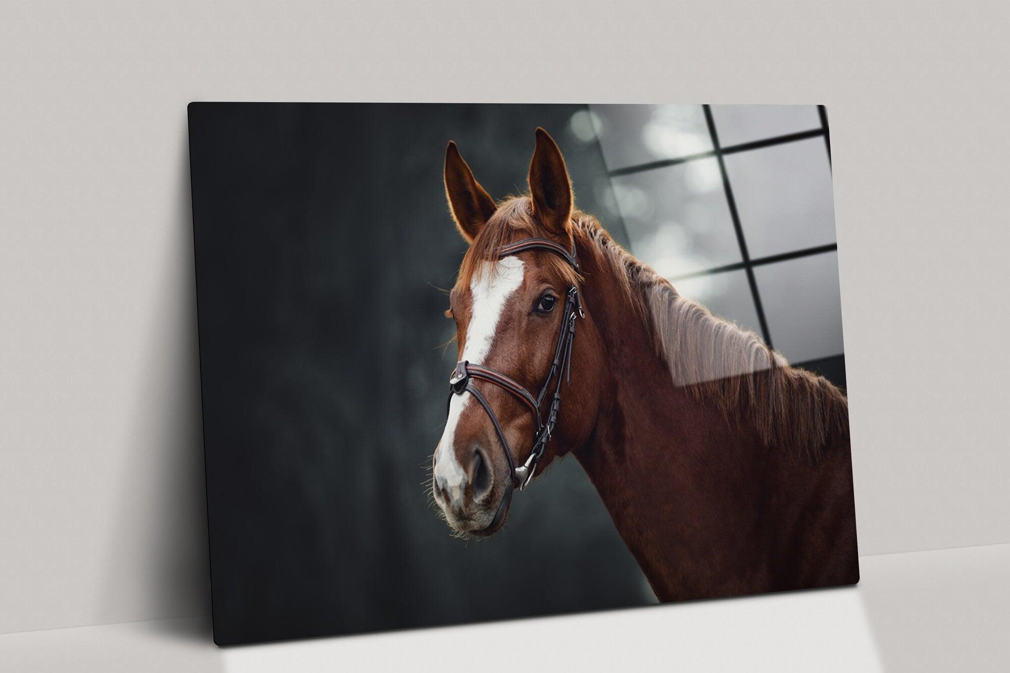 horse Print on glass |Floating Frame Option, Modern Wall Art, wall art, Beautiful horse Triptych wall art, Cat lover gift, horse canvas art