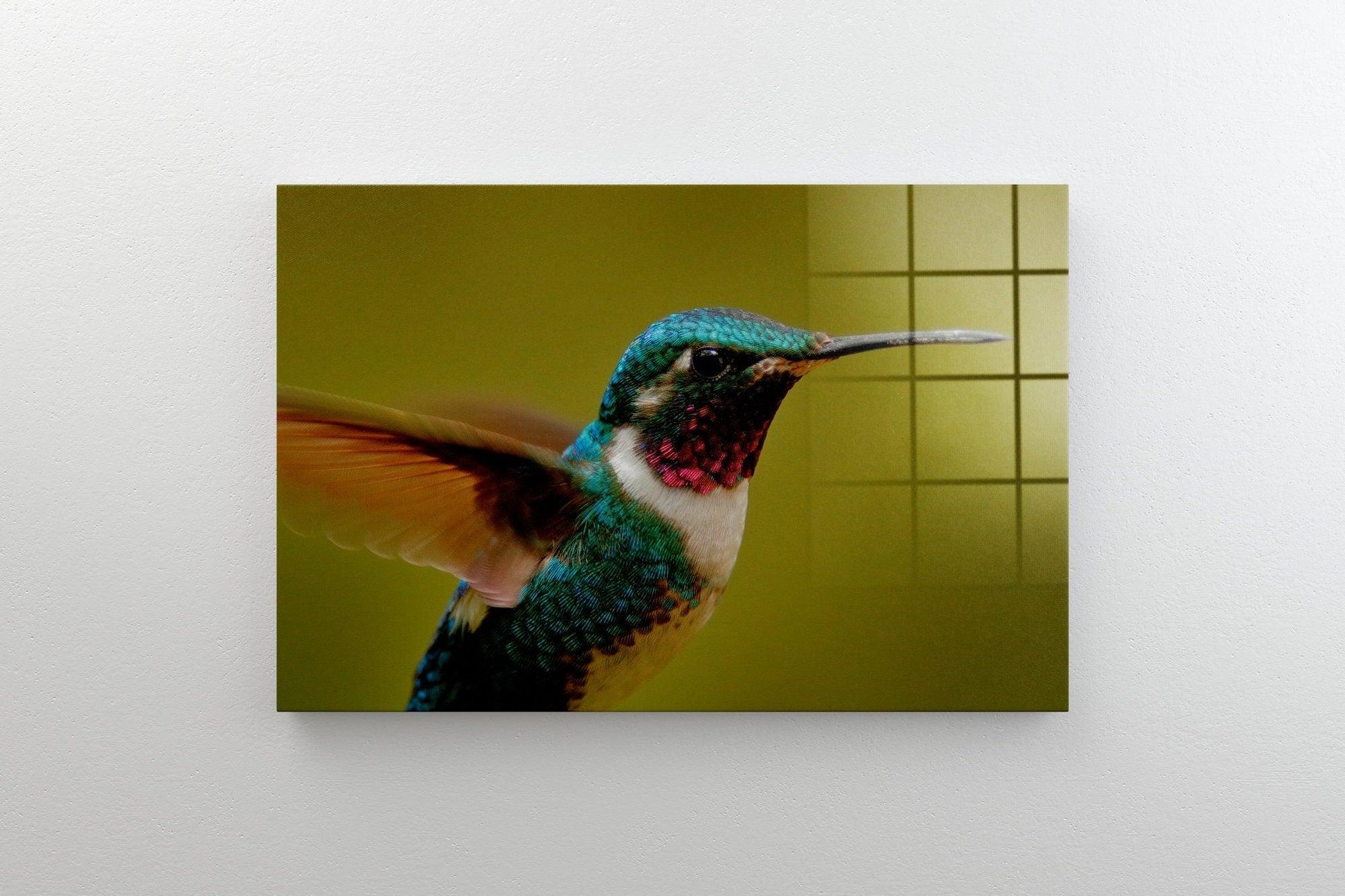 Hummingbird Flying Canvas wall Art Print | Hummingbird Tempered Glass or Canvas Printing Wall Art , Natural And Vivid Wall Decor