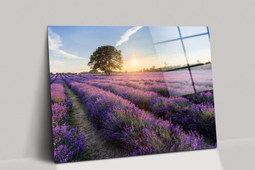 Lavender Farm canvas wall art| Sequim Washington, floral wall art, Flowers Nature wall Art Print, farmhouse wall decor bedroom