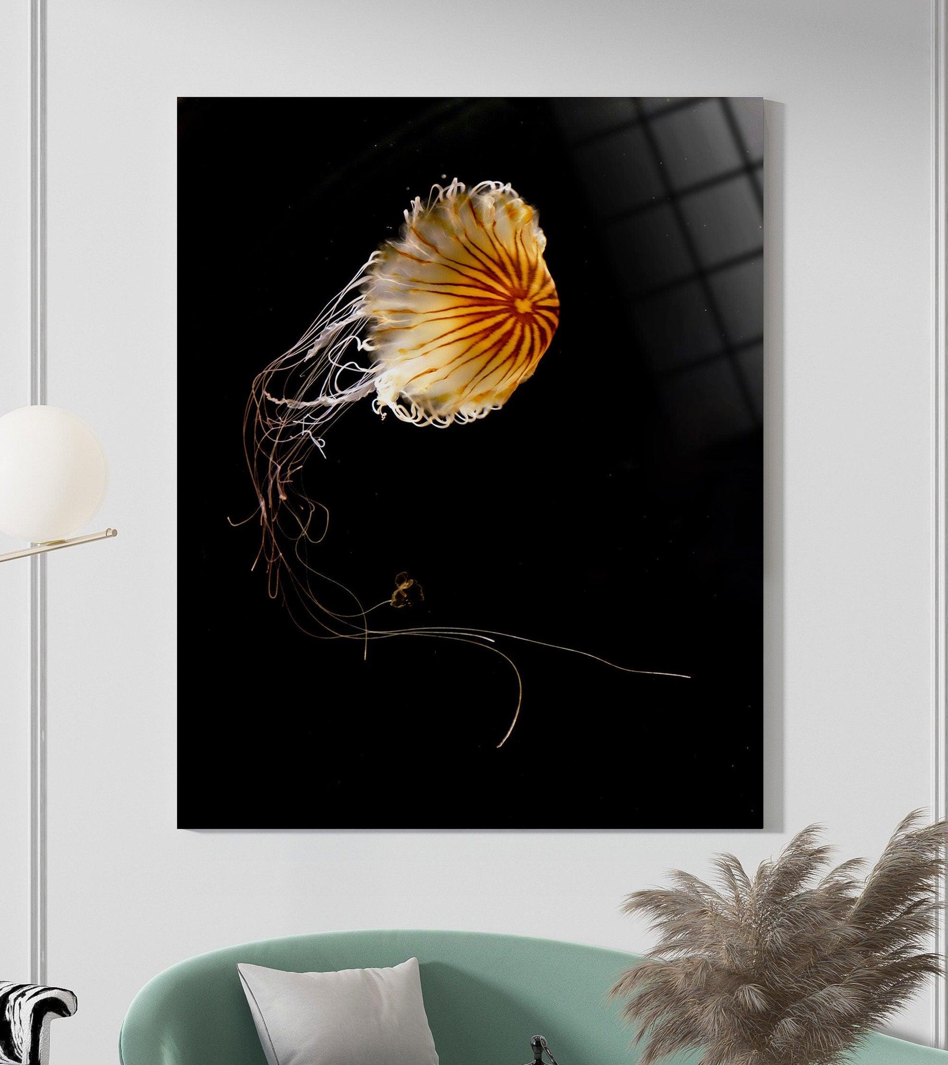 Moon Jellyfish glass Printing wall art | Jellyfish Fine Art Print, Jellyfish Photo, Jellyfish Artwork, gift idea, -Moon Jellyfish