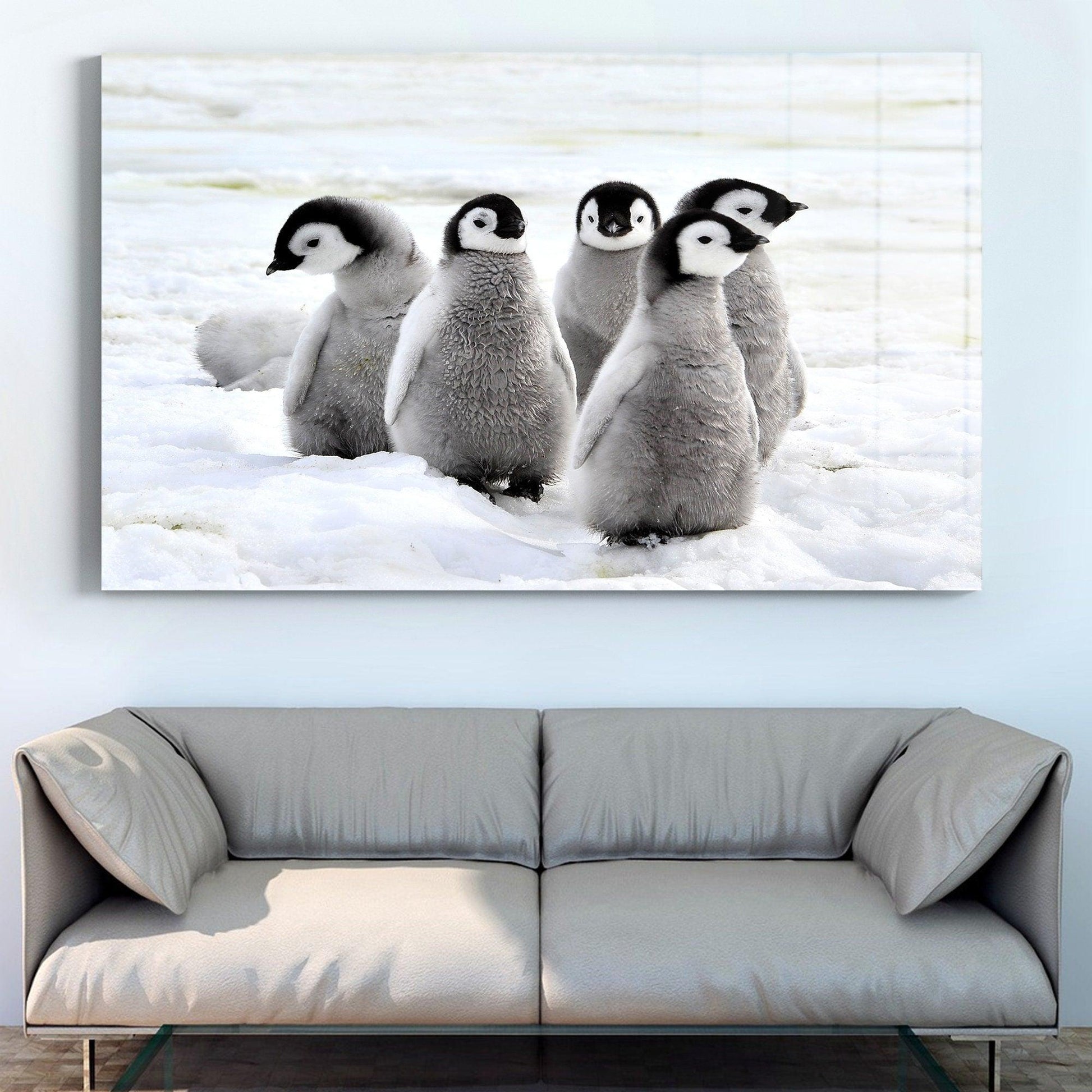 Penguin Tempered Glass Wall Art Large Wall Art, Glass Printing Wall Art, Glass Art Wall Decor, animal Home Decor, Animal Wall Art, Penguin