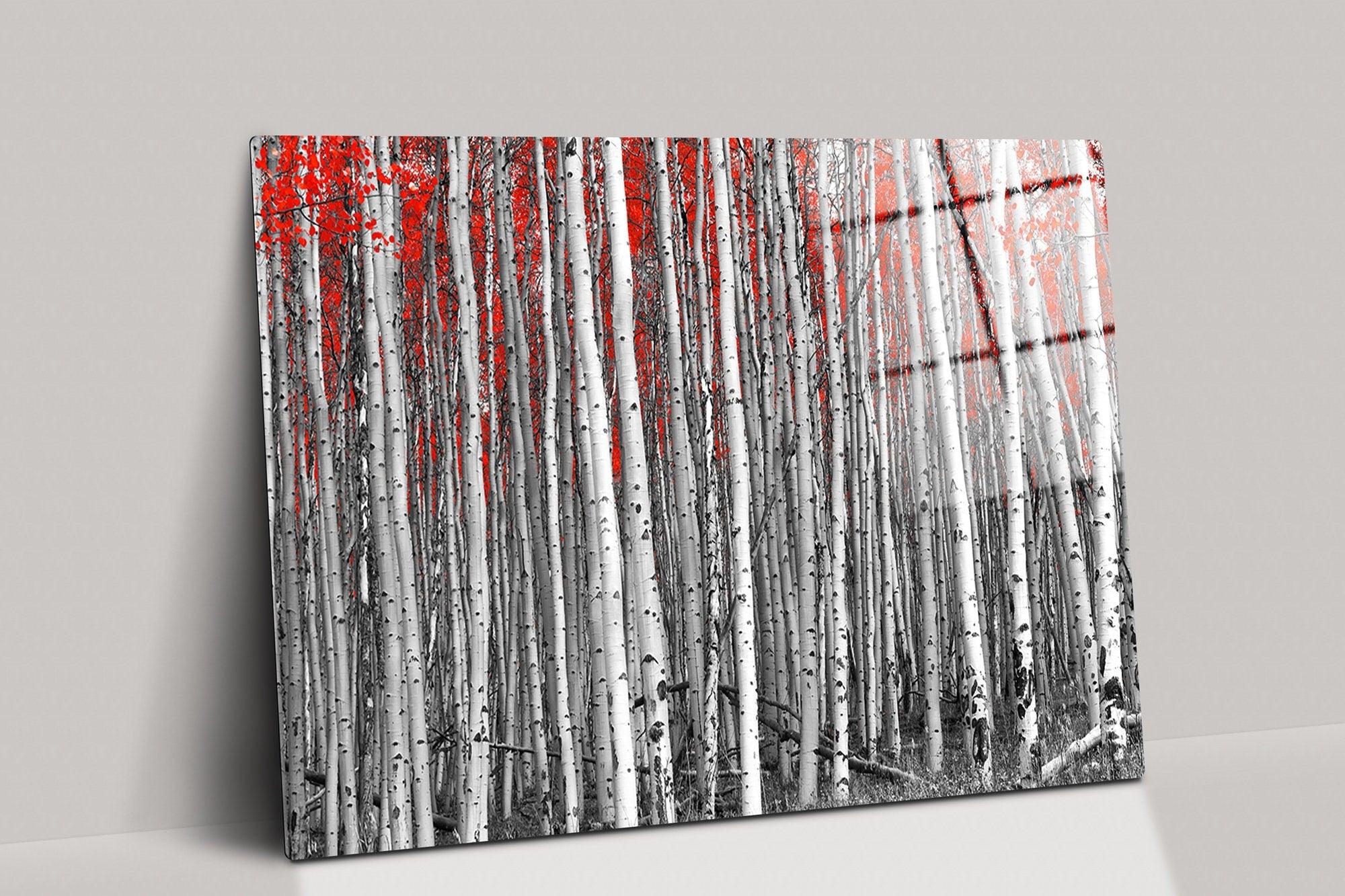 Red Forest canvas Wall Art Natural And Vivid Home Wall Decor, Housewarming Gift, fathers day gifts, tree Glass Printing wall art, room decor