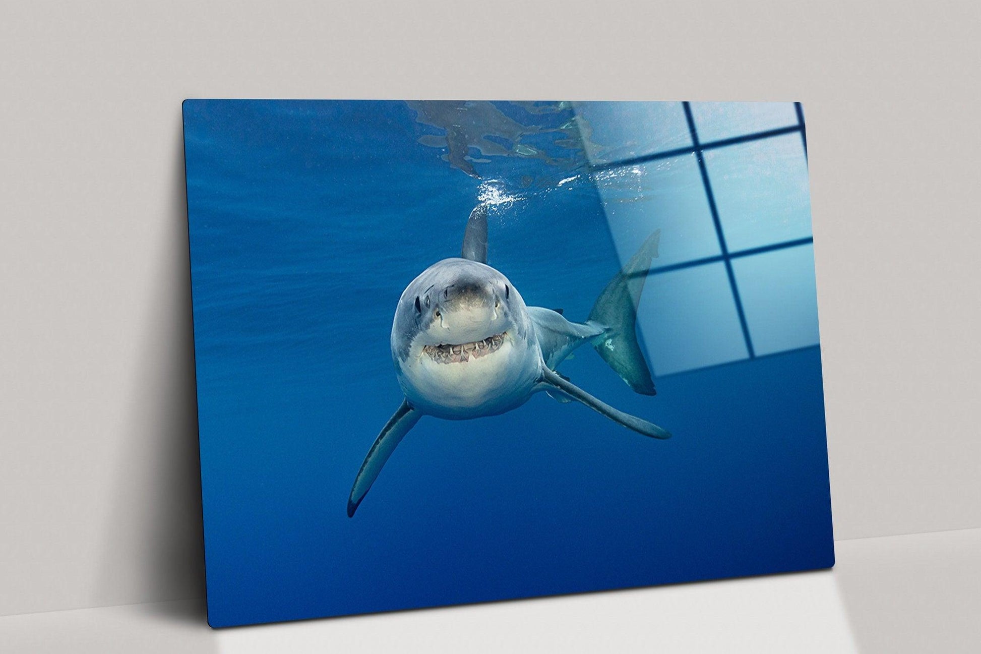 Shark underwater glass Wall Art Design| great white shark print, underwater animals glass painting wall art, animals art, Nature wall art