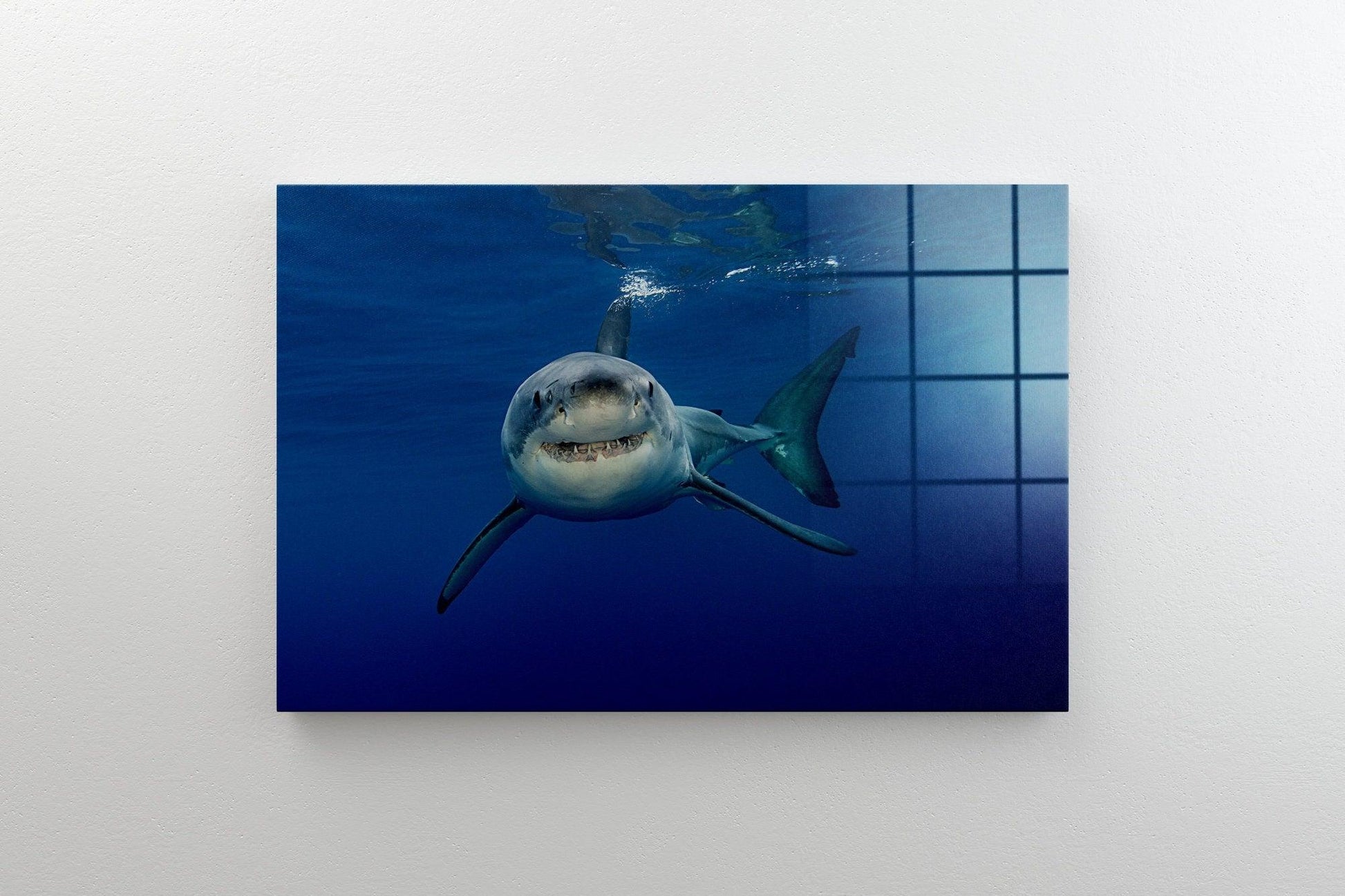 Shark underwater glass Wall Art Design| great white shark print, underwater animals glass painting wall art, animals art, Nature wall art