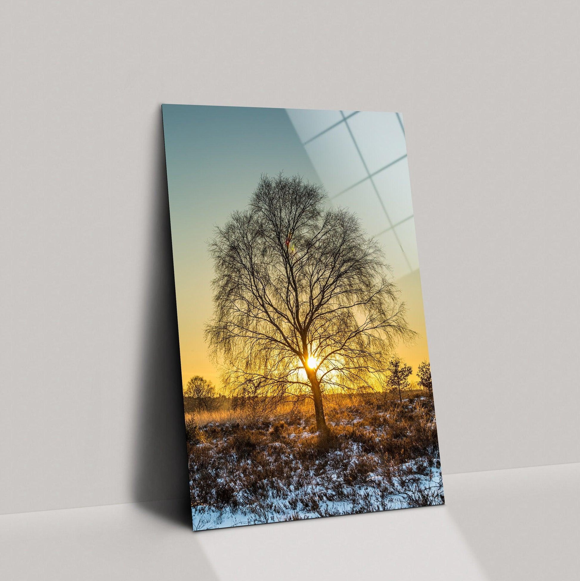 Tree Image canvas wall art | Great Gift, National Geographic Quality Photo, Tree Wall Decor, Home Decoration, Tree and Sun glass wall art