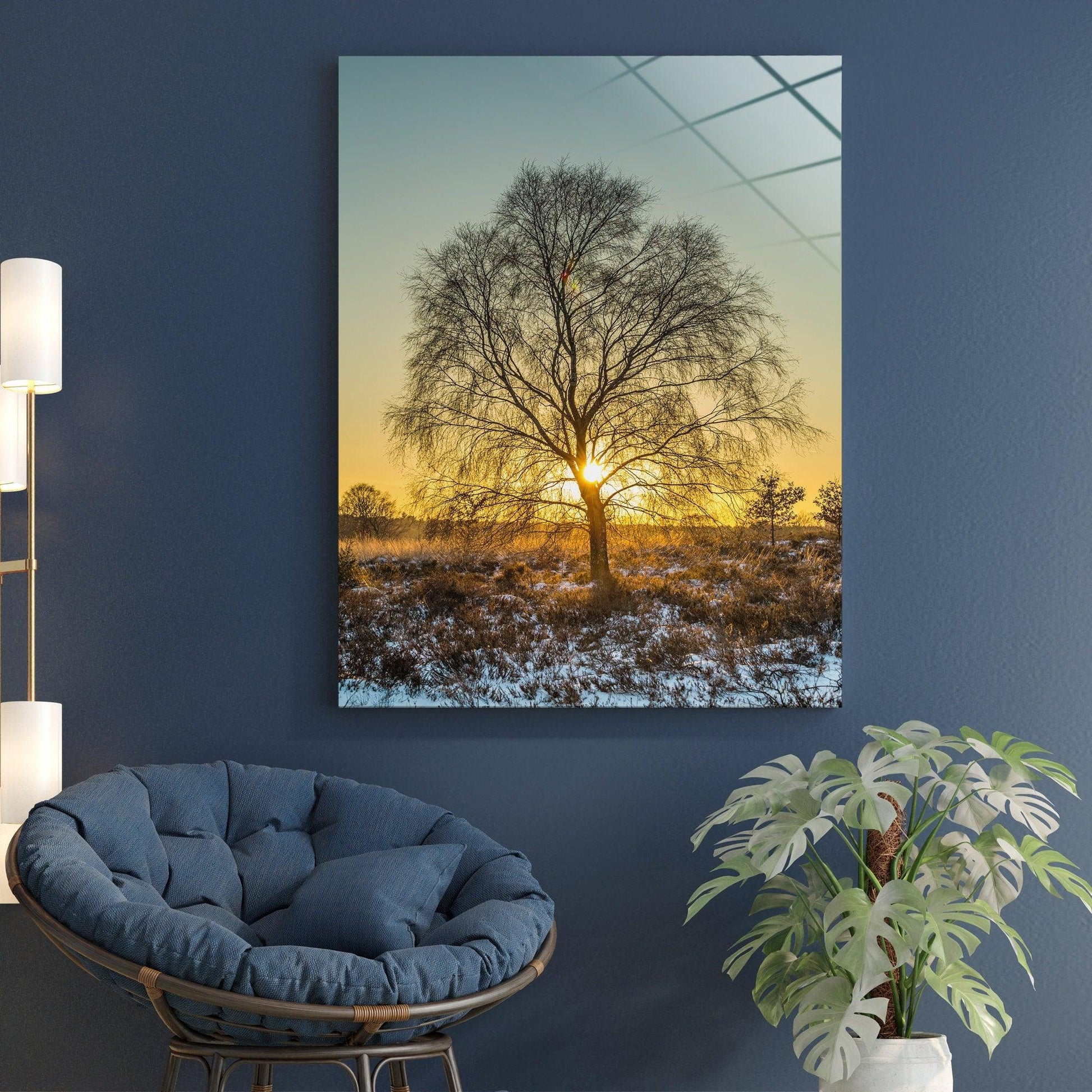 Tree Image canvas wall art | Great Gift, National Geographic Quality Photo, Tree Wall Decor, Home Decoration, Tree and Sun glass wall art