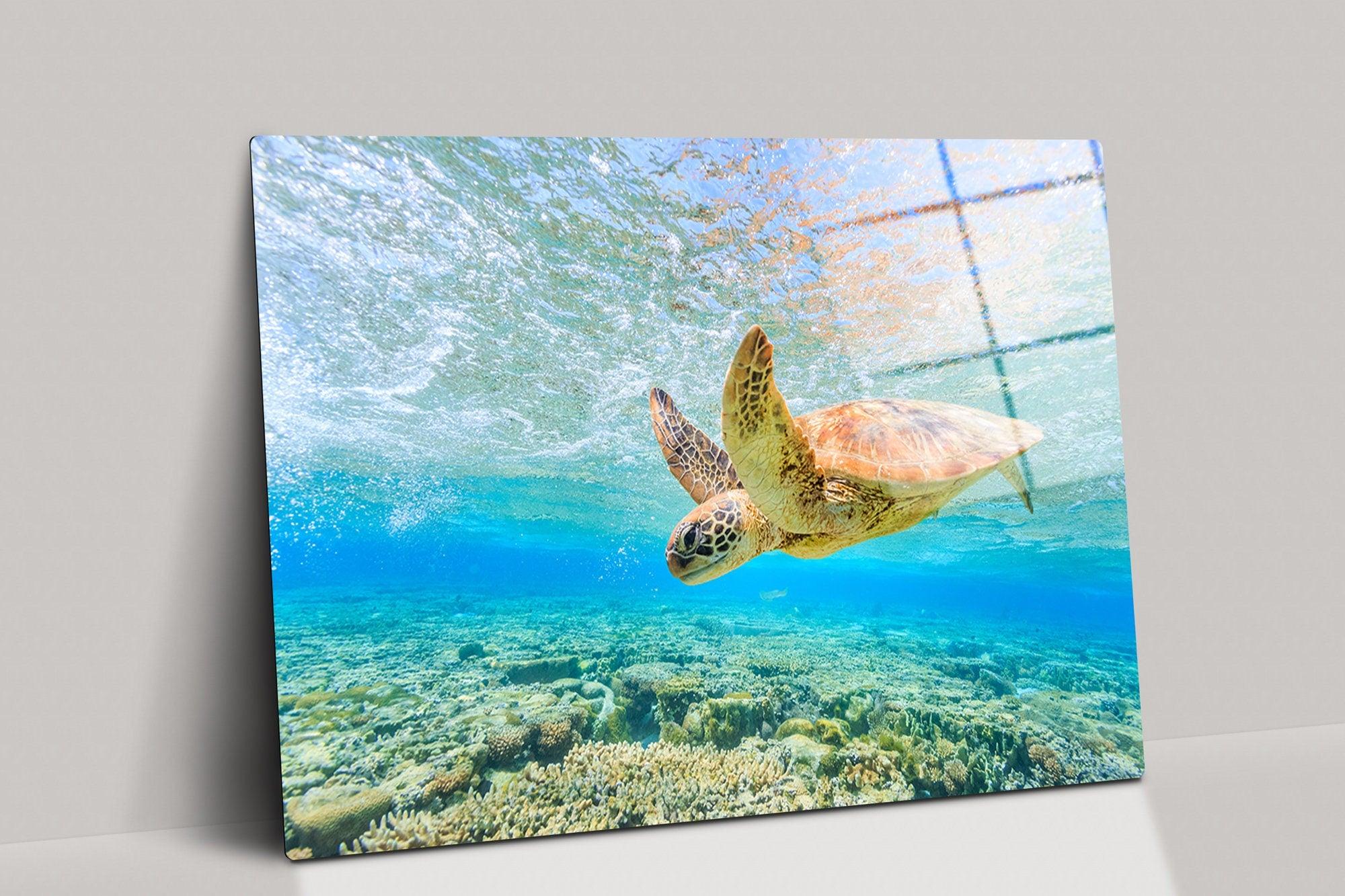 Turtle print Turtle home decor Turtle pictures Sea photo Nautical print Coastal wall art Ocean art Ocean print Ocean wall art Canvas art