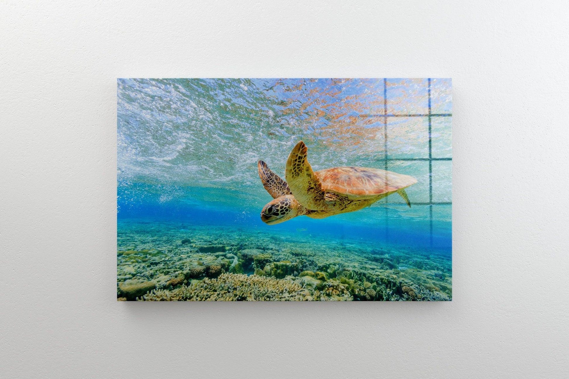 Turtle print Turtle home decor Turtle pictures Sea photo Nautical print Coastal wall art Ocean art Ocean print Ocean wall art Canvas art