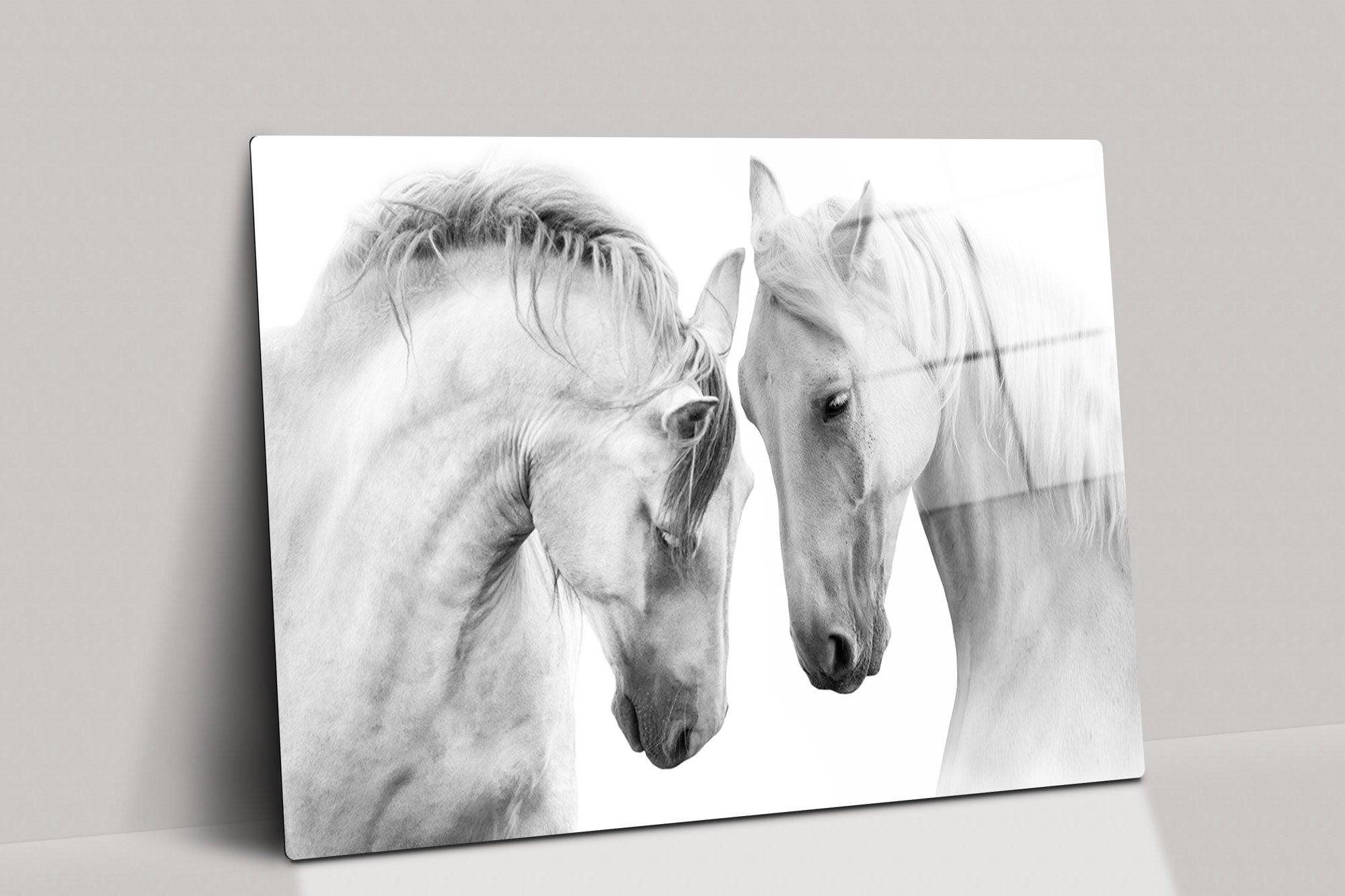 White Horses glass wall art | White Horses glass Print for Living Room, Horse Wall Decor, glass Horses Decoration, Animal wall art canvas