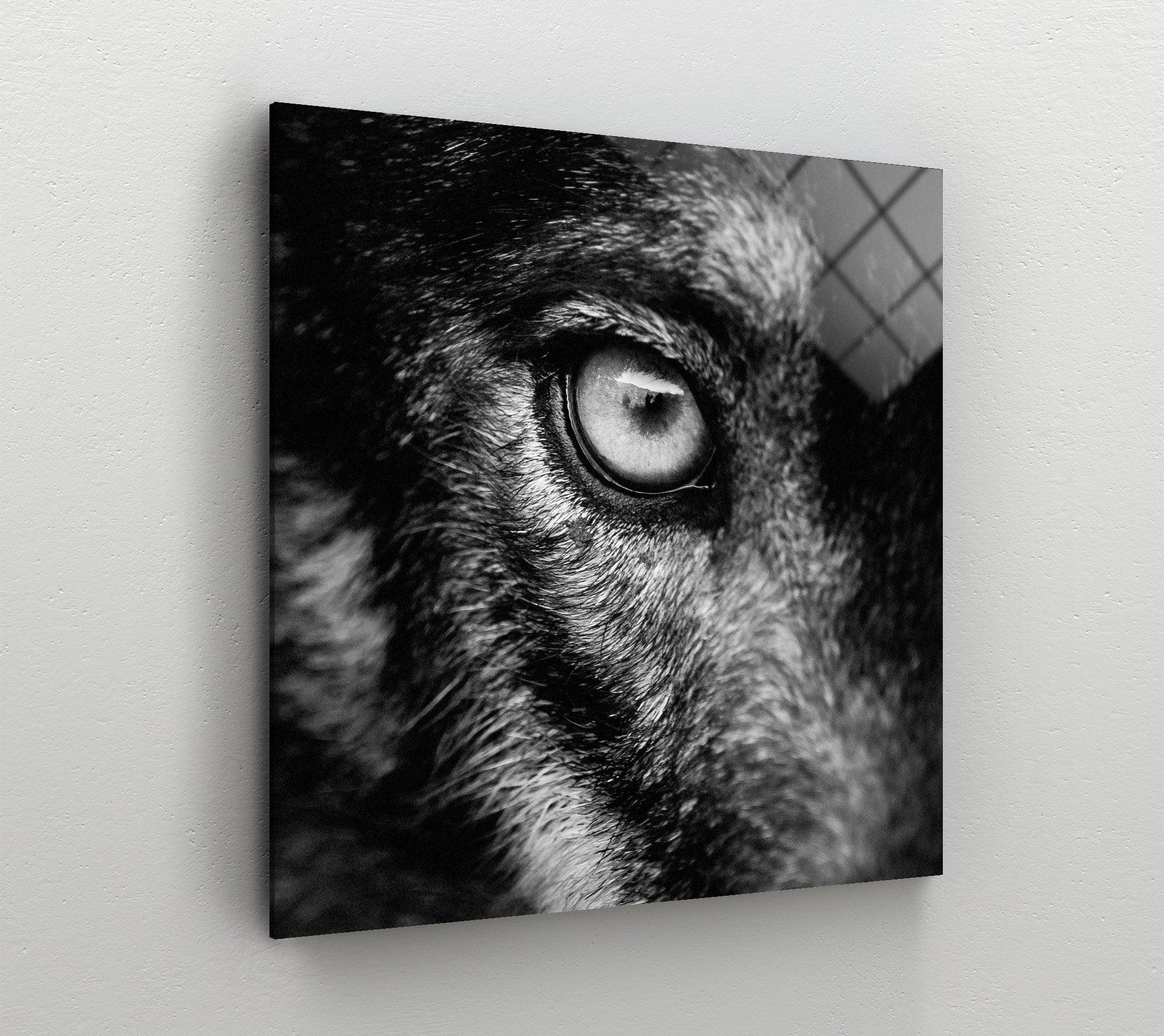 Wolf's Eye Print on Canvas | Floating Frame Option, Modern Wall Art, Canvas Wall Art , Extra Large Wall Art, Wolf Eye glass wall art - TrendiArt